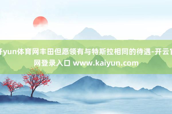 开yun体育网丰田但愿领有与特斯拉相同的待遇-开云官网登录入口 www.kaiyun.com