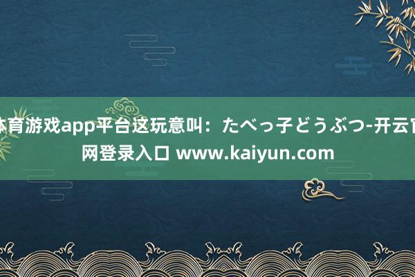 体育游戏app平台这玩意叫：たべっ子どうぶつ-开云官网登录入口 www.kaiyun.com