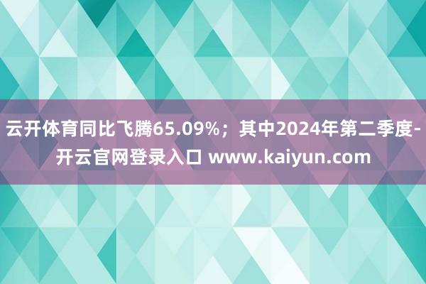 云开体育同比飞腾65.09%；其中2024年第二季度-开云官网登录入口 www.kaiyun.com