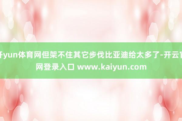 开yun体育网但架不住其它步伐比亚迪给太多了-开云官网登录入口 www.kaiyun.com