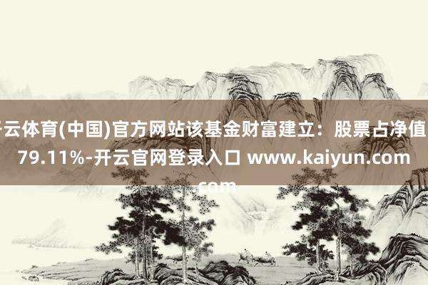 开云体育(中国)官方网站该基金财富建立：股票占净值比79.11%-开云官网登录入口 www.kaiyun.com