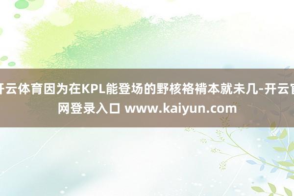 开云体育因为在KPL能登场的野核袼褙本就未几-开云官网登录入口 www.kaiyun.com